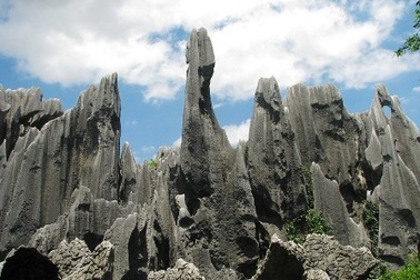 Du ngoạn rừng đá 